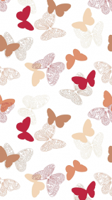 Бабочки 03